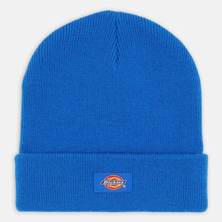 Gorro Dickies Gibsland Turkish Sea