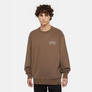Sudadera Dickies Aitkin Chest Mushroom