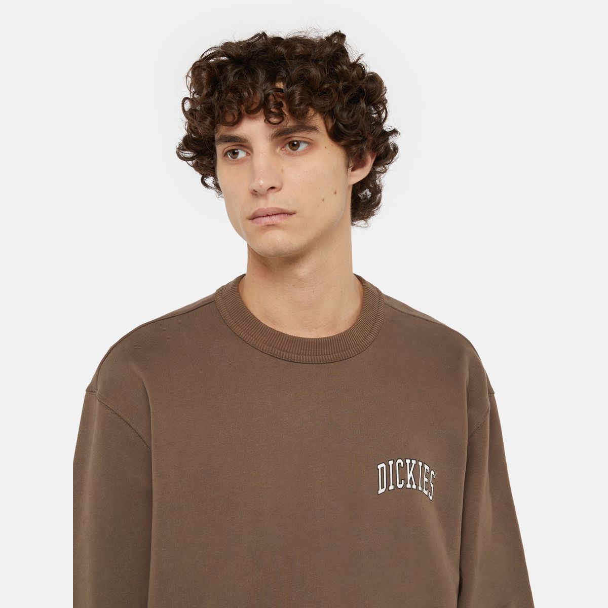 Sudadera Dickies Aitkin Chest Mushroom - Imagen 3