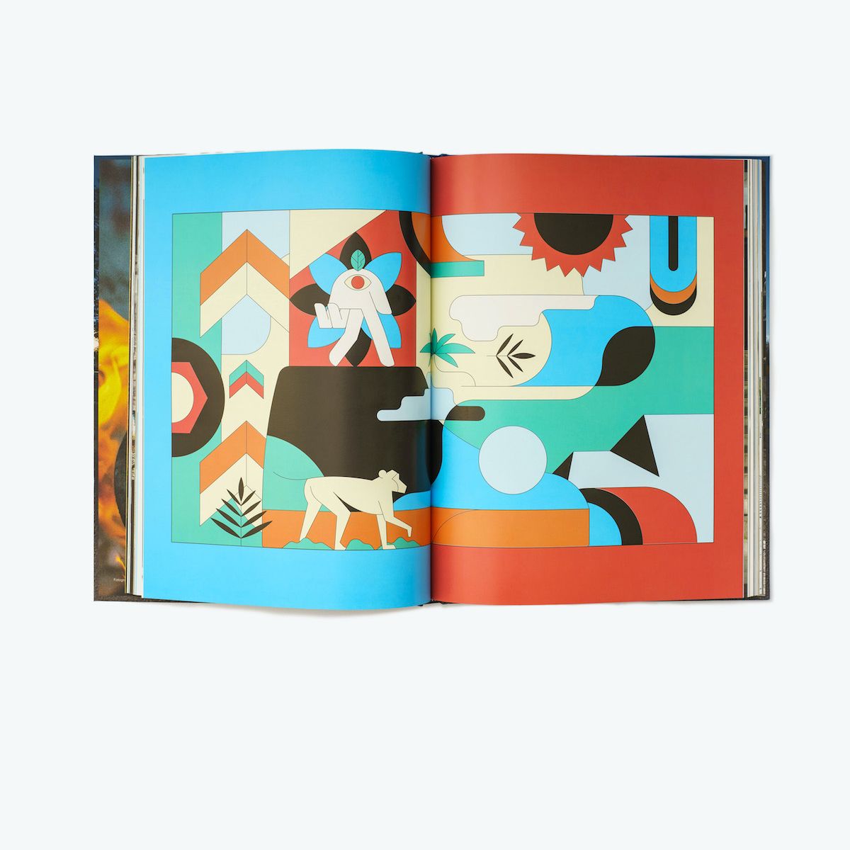 Libro Dogway Volumen 1 - Imagen 3